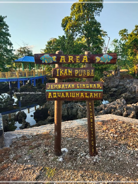 jembatan-akuarium-alami-lahonduru