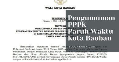 pengumuman pppk paruh waktu kota baubau 2025 1